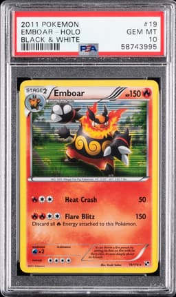 #19 EMBOAR-HOLO