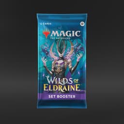 Magic: The Gathering Wilds of Eldraine - Set Booster (1 Booster Pack - Art May Vary)