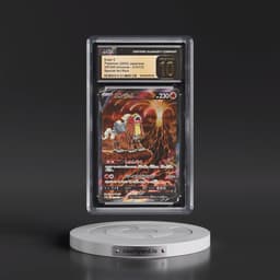 2022 VSTAR Universe #213/172 Entei V - Special Art Rare Holo (CGC 10 PRISTINE)