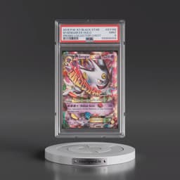 2016 Pokémon XY Black Star Promo #XY166 M Gengar EX - Holo Collector Chest (PSA 9 MINT)
