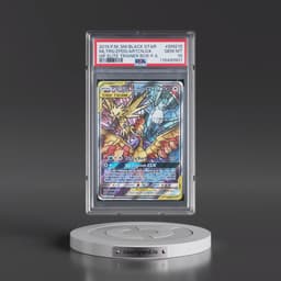 2019 Pokémon SM Black Star Promo #SM210 Moltres & Zapdos & Articuno GX - Holo Full Art Hidden Fates Elite Trainer Box (PSA 10 GEM MINT)