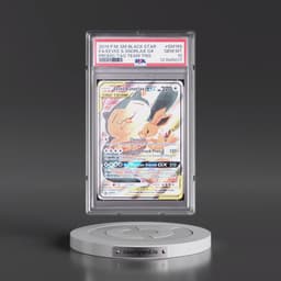 2019 Pokémon SM Black Star Promo #SM169 Eevee & Snorlax GX - Holo Full Art Tag Team Tins (PSA 10 GEM MINT)