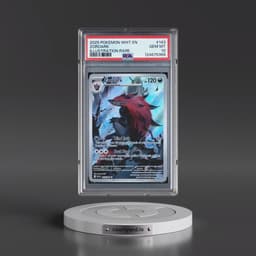 2025 Pokémon Wht EN-White Flare #143 Zoroark - Illustration Rare (PSA 10 GEM MINT)