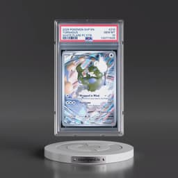 2025 Pokémon Svp EN-SV Black Star Promo #210 Tornadus - White Flare Pokemon Center Elite Trainer Box (PSA 10 GEM MINT)