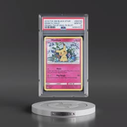 2019 Pokémon SM Black Star Promo #SM163 Mimikyu - Holo Team Up Single Pack Blisters (PSA 10 GEM MINT)