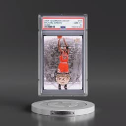 2009 Upper Deck Jordan Legacy Gold #93 Michael Jordan (PSA 10 GEM MINT)