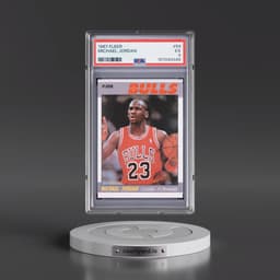 1987 Fleer #59 Michael Jordan (PSA 5 EX)
