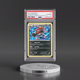 2011 Pokémon Black & White #71 Zoroark - Holo Cracked Ice (PSA 10 GEM MINT)