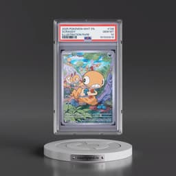 2025 Pokémon Wht EN-White Flare #138 Scraggy - Illustration Rare (PSA 10 GEM MINT)