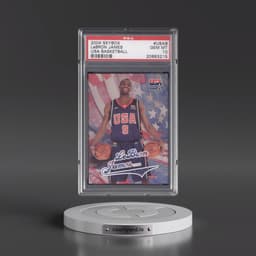 2004 Skybox USA Basketball #USAB LeBron James (PSA 10 GEM MINT)