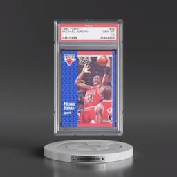 1991 Fleer #29 Michael Jordan (PSA 10 GEM MINT)