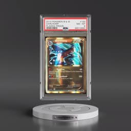 2013 Pokémon Black & White Plasma Freeze #120 Garchomp (PSA 8 NM-MT)