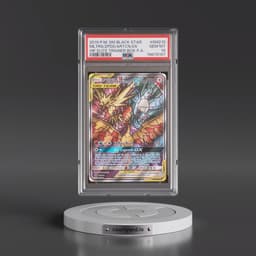 2019 Pokémon Sun & Moon Black Star Promos #SM210 Moltres & Zapdos & Articuno GX - Holo Full Art Hidden Fates Elite Trainer Box (PSA 10 GEM MINT)