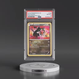 2012 Pokémon Black & White Dragons Exalted #128 Rayquaza (PSA 8 NM-MT)