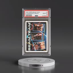 1992 Topps Beam Team #3 Dennis Rodman/Kevin Johnson/Michael Jordan (PSA 10 GEM MINT)