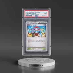 2012 Pokémon BW-P Promo #190 Pokemon Center (PSA 9 MINT)