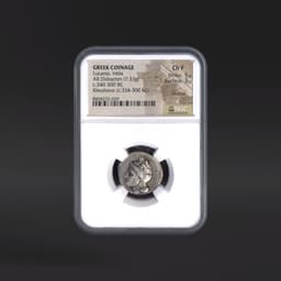 Lucania, Velia GREEK COINAGE AR Didrachm Kleudorus (c.334-300 BC) NGC ChF