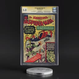 Amazing Spider-Man #14 CGC 5.0 Off-white Pages (Marvel Comics, 7/64) - Signature Series