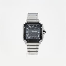 Cartier Santos Large (Steel and DLC)